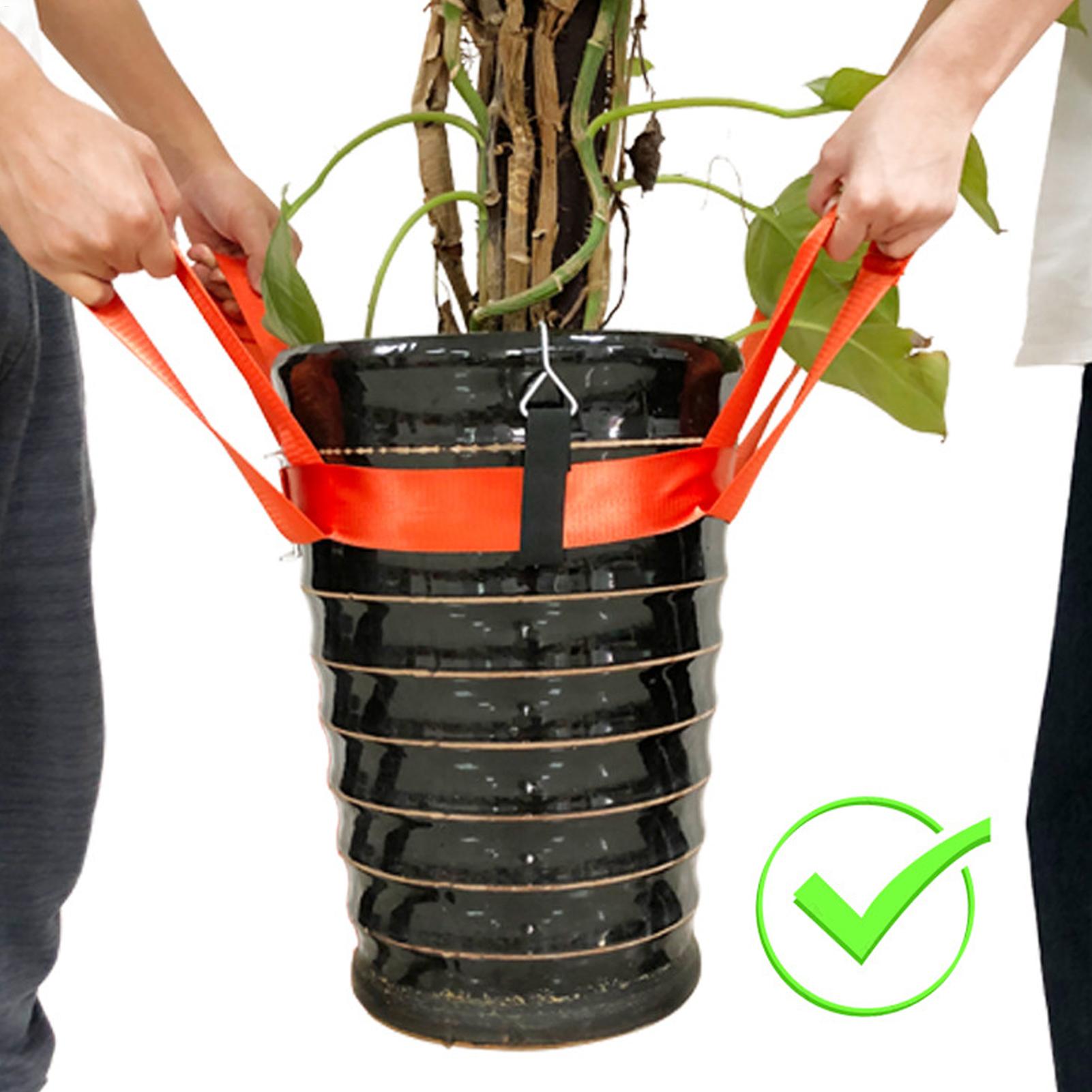 Landscaping Lifting Strap Pott - Lifting Belt review and price